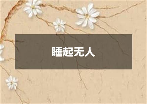 睡起无人