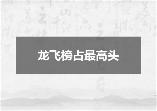 龙飞榜占最高头