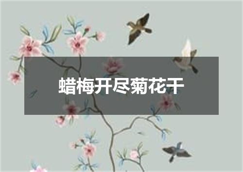 蜡梅开尽菊花干