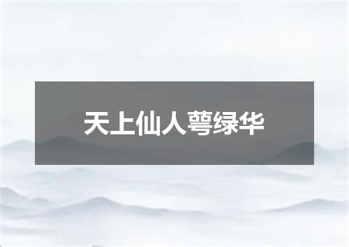 天上仙人萼绿华