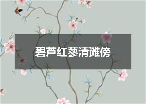 碧芦红蓼清滩傍