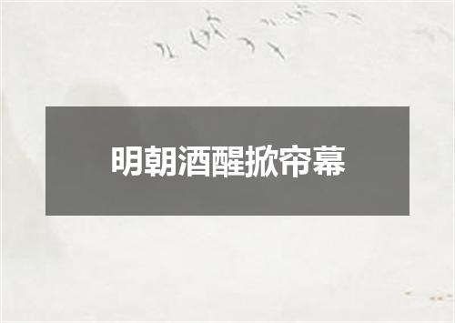 明朝酒醒掀帘幕