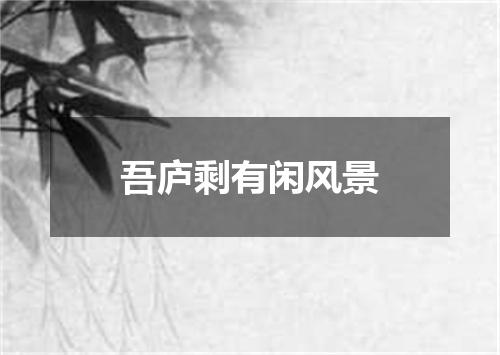 吾庐剩有闲风景