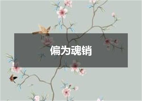 偏为魂销