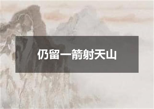 仍留一箭射天山