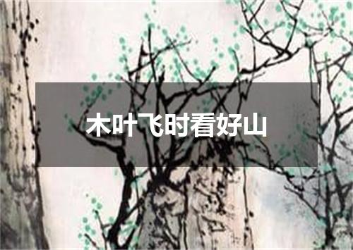 木叶飞时看好山