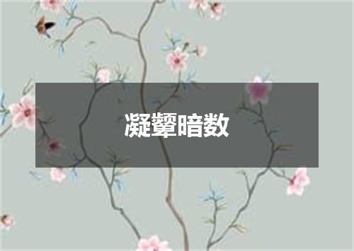 凝颦暗数