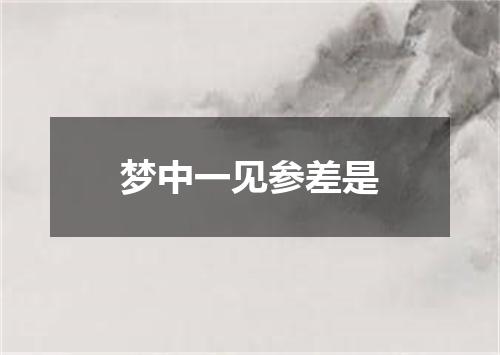 梦中一见参差是