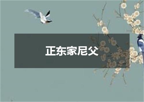正东家尼父