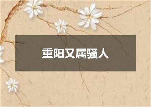 重阳又属骚人