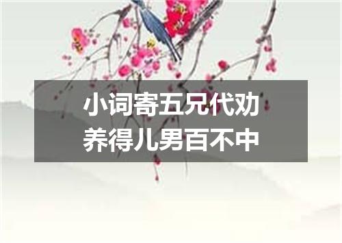 小词寄五兄代劝养得儿男百不中