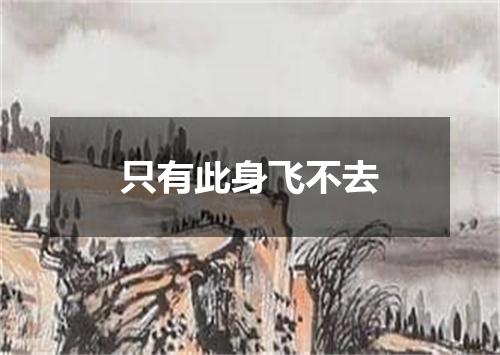 只有此身飞不去