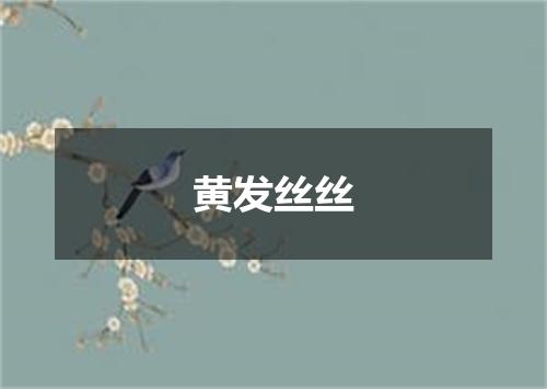 黄发丝丝