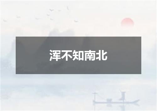 浑不知南北
