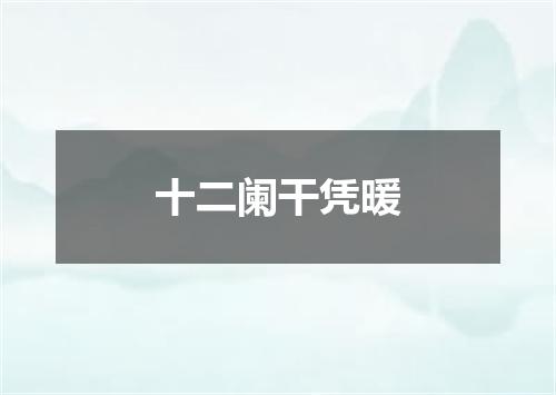 十二阑干凭暖