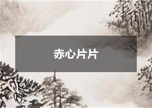 赤心片片