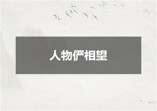 人物俨相望