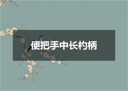 便把手中长杓柄