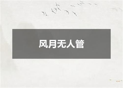 风月无人管