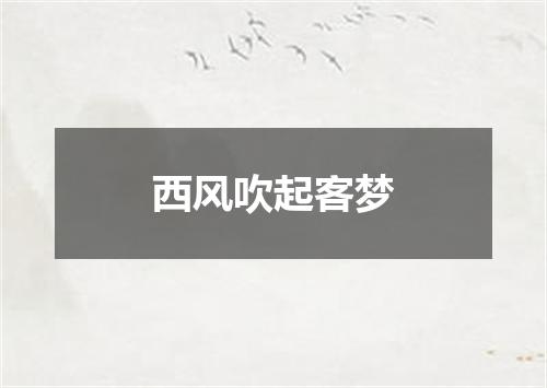 西风吹起客梦