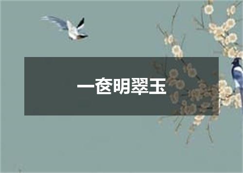 一奁明翠玉