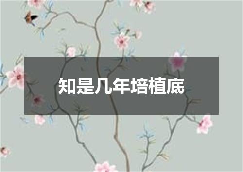 知是几年培植底