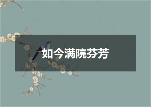 如今满院芬芳