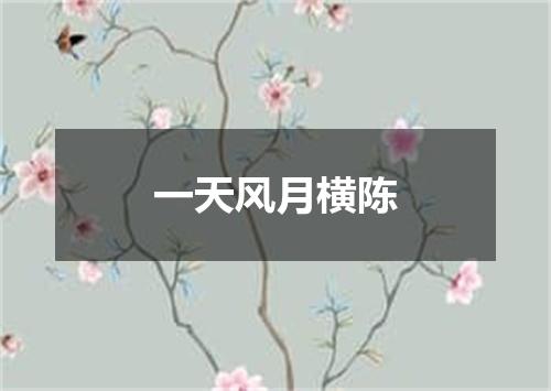 一天风月横陈