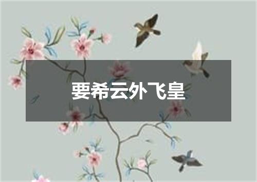 要希云外飞皇