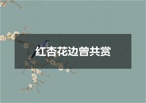 红杏花边曾共赏