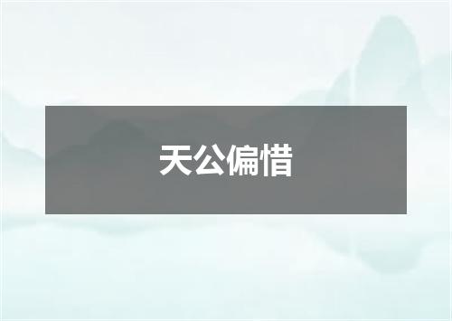 天公偏惜
