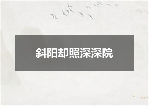 斜阳却照深深院