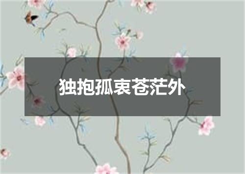 独抱孤衷苍茫外