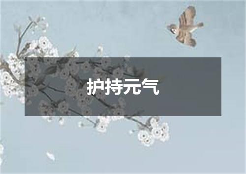 护持元气