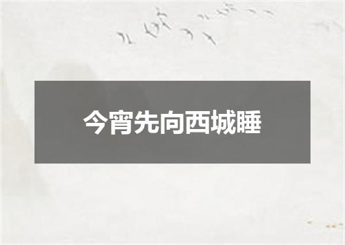 今宵先向西城睡