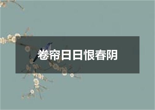 卷帘日日恨春阴