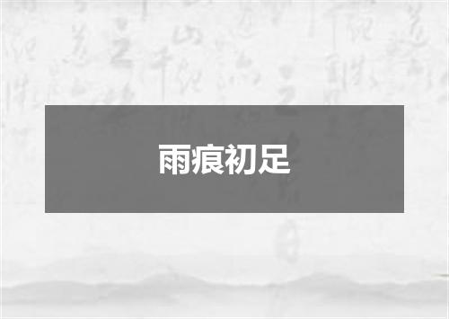 雨痕初足