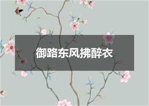 御路东风拂醉衣