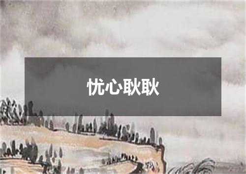 忧心耿耿