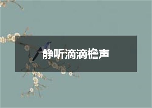 静听滴滴檐声