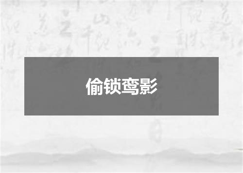 偷锁鸾影