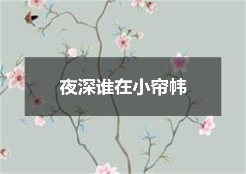 夜深谁在小帘帏