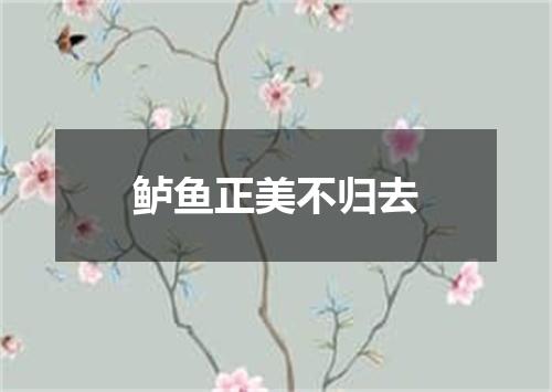 鲈鱼正美不归去
