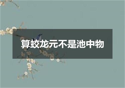 算蛟龙元不是池中物