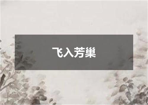 飞入芳巢