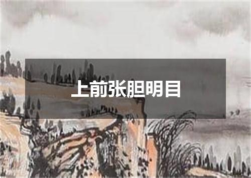 上前张胆明目