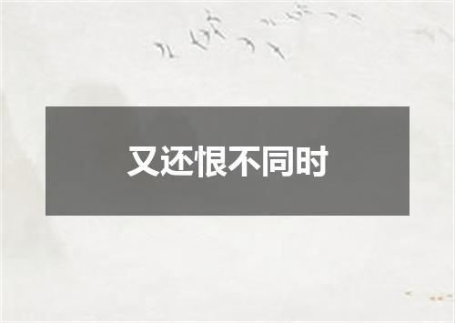 又还恨不同时