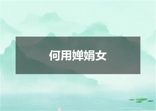 何用婵娟女