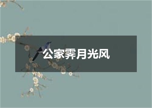 公家霁月光风