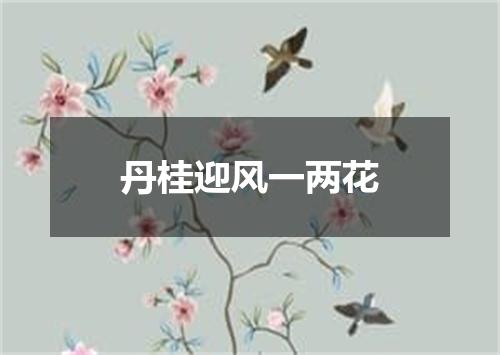 丹桂迎风一两花